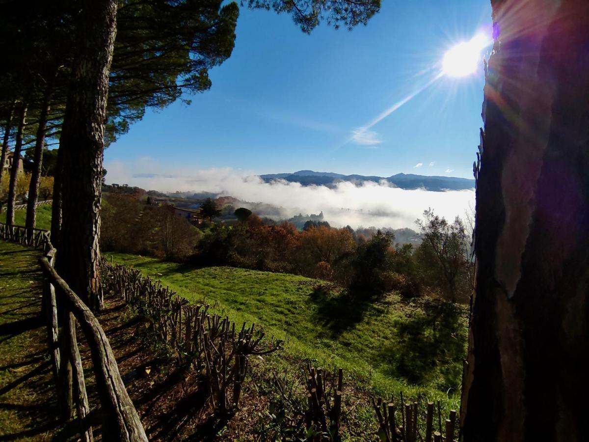 Вилла Fonte Degna - Alloggio E Sito Storico Citerna Экстерьер фото