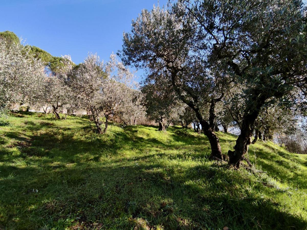 Вилла Fonte Degna - Alloggio E Sito Storico Citerna Экстерьер фото