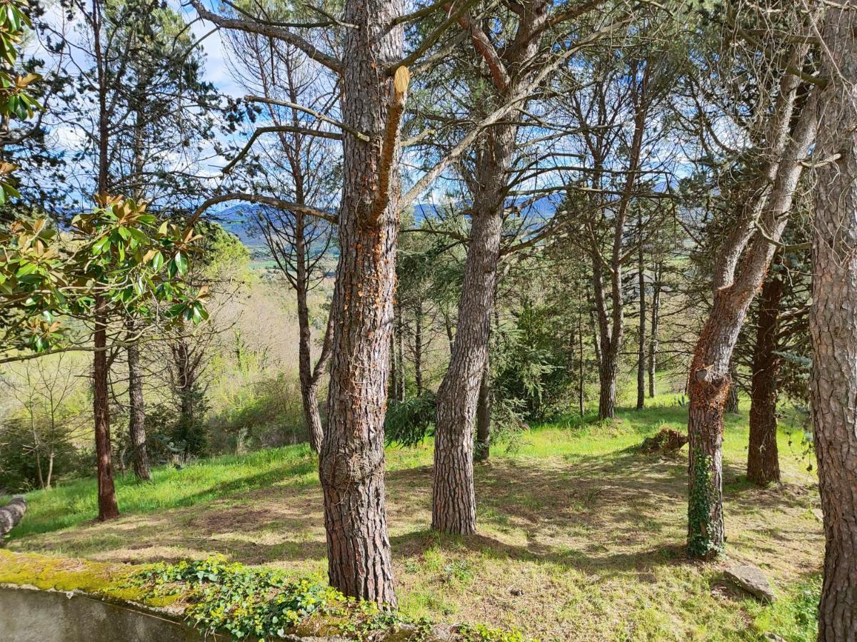 Fonte Degna - Alloggio E Sito Storico Citerna Экстерьер фото